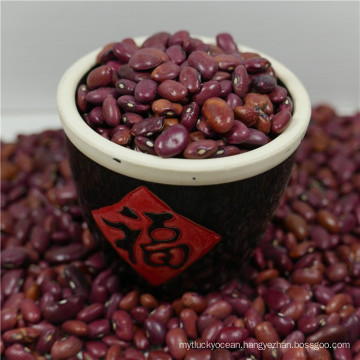 Red Kidney Beans ( Small Red / Pure Red Kidney Bean)